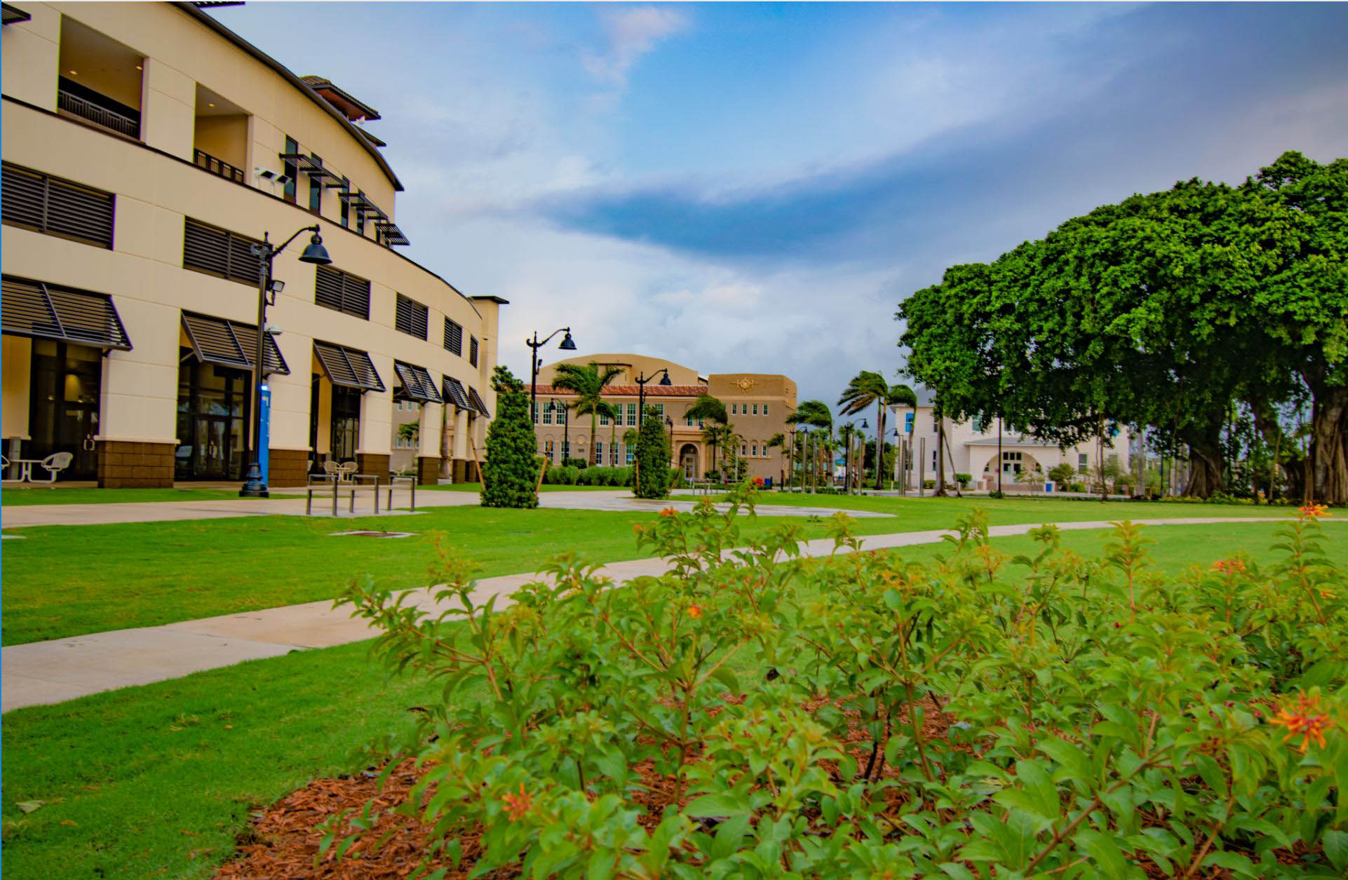 Avison Young arranges for FAU Tech Runway to lease space at the new Boynton Beach Town Square